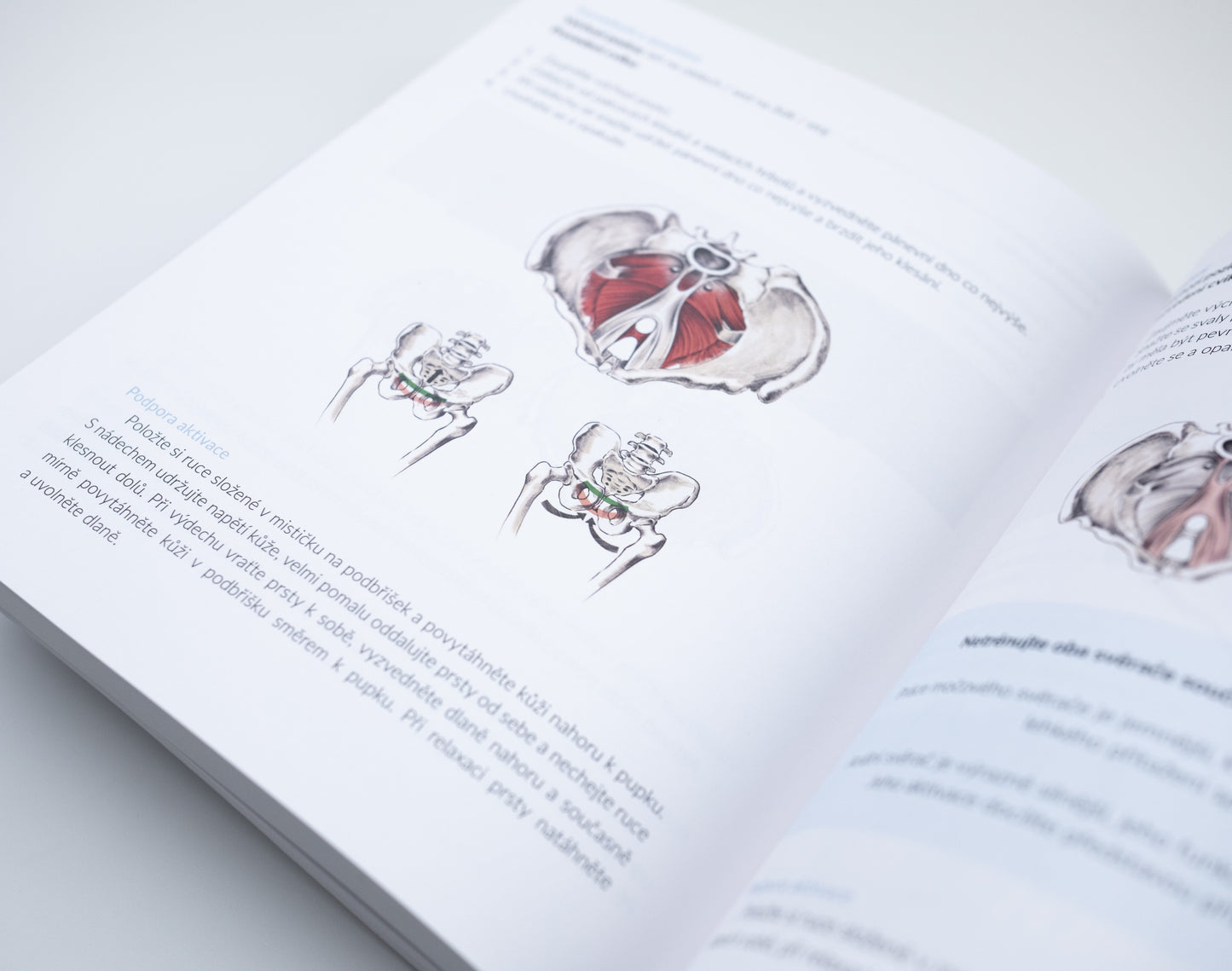 Cesta k pohybu nejen s Roztroušenou sklerózou